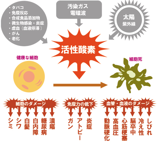 病院では絶対教えない痛みの本当のメカニズム 腰痛の正体は筋肉と血流にあった 10