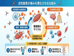 病院では絶対教えない痛みの本当のメカニズム 腰痛の正体は筋肉と血流にあった 6