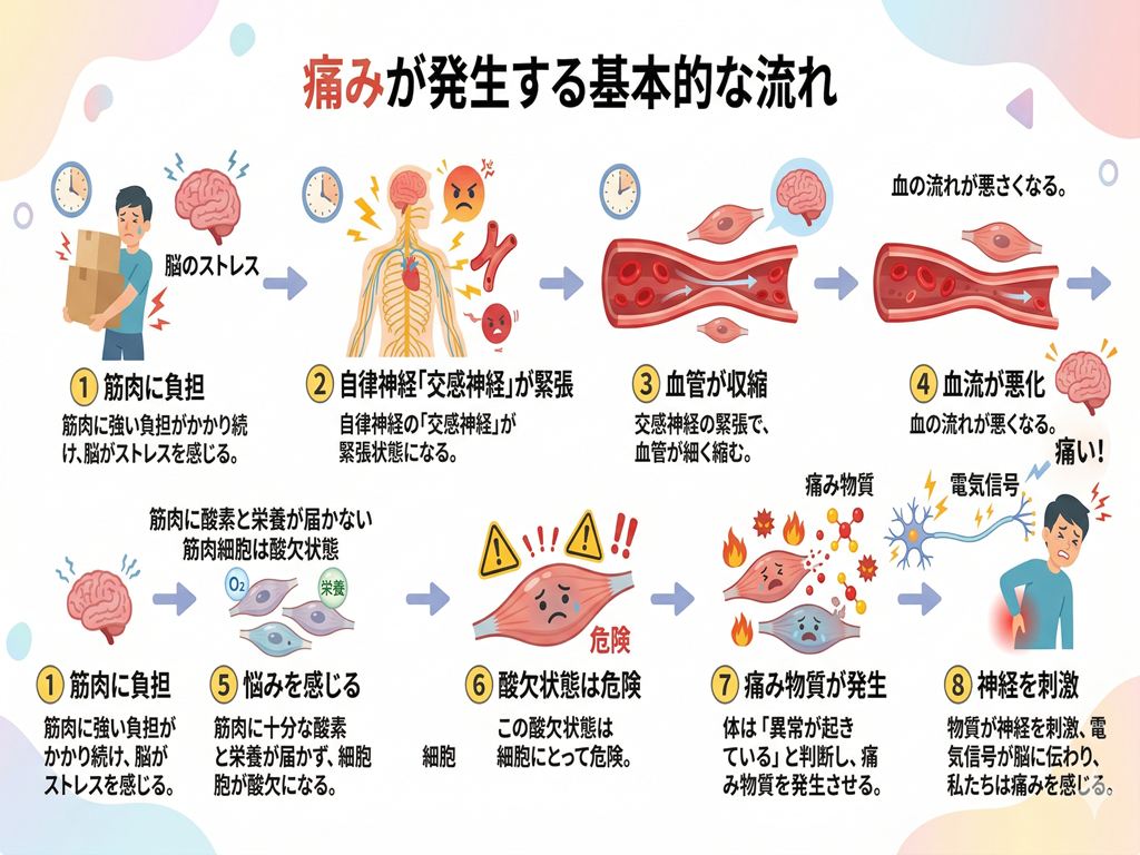病院では絶対教えない痛みの本当のメカニズム 腰痛の正体は筋肉と血流にあった 3
