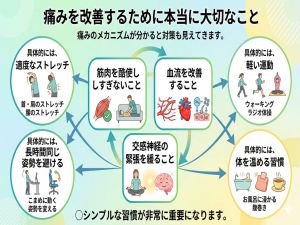 病院では絶対教えない痛みの本当のメカニズム 腰痛の正体は筋肉と血流にあった 9