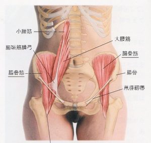 腰を反ると痛い時原因となる筋肉